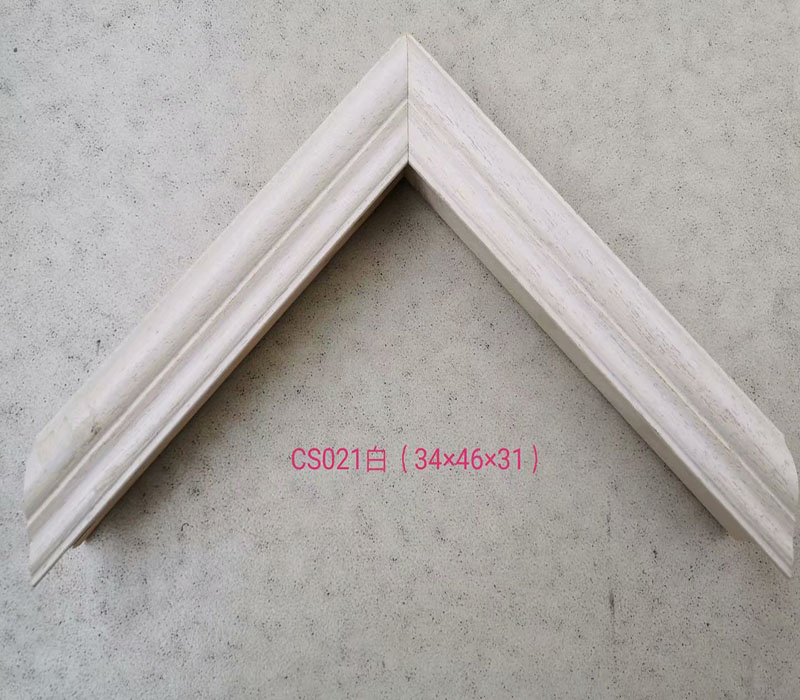 CS021白