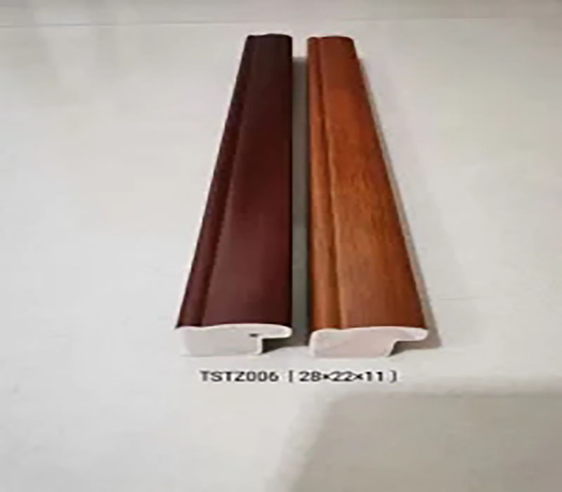 TSTZ006