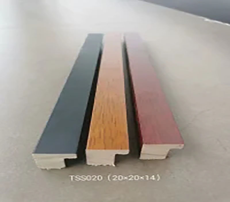 TSS020