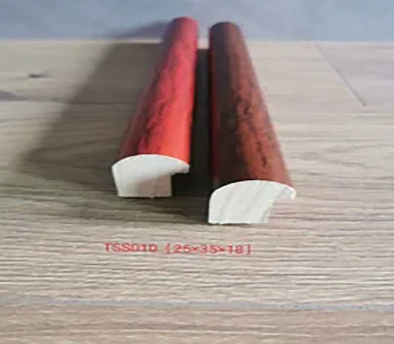 TSS010