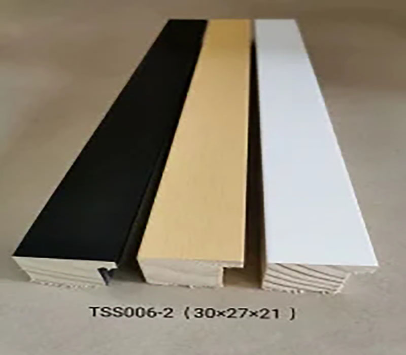 TSS006-2