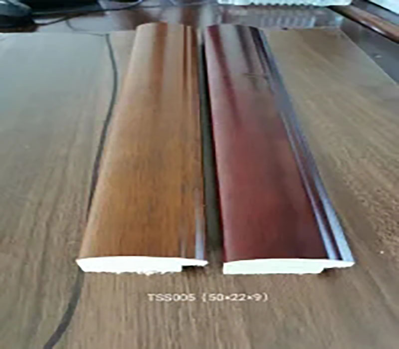 TSS005