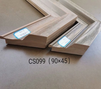 CS099